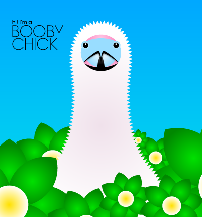 booby-chick